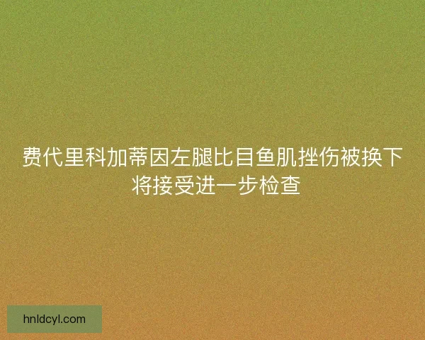 费代里科加蒂因左腿比目鱼肌挫伤被换下 将接受进一步检查